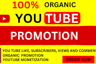 shoutout organic youtube channel promotion video growth to gain active audience