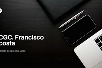 provide professional mexican tax consultation for individuals