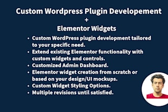 develop custom wordpress plugin with elementor widgets