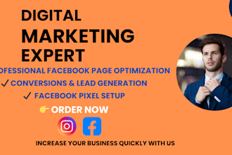 manage your business page,run meta ads, ecommerce ads,lead ads for your business