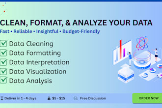clean, format, and analyze your data in excel