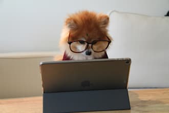 test or playtest your PC game