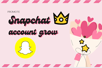 increase grow tiktok, snapchat, instagram organically and promotion