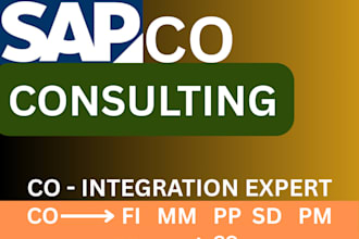 be your sap co consultant