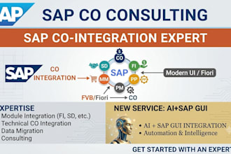 be your sap co consultant