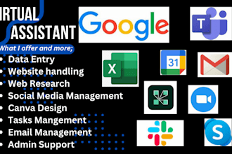 do data entry admin general support as your executive personal virtual assistant
