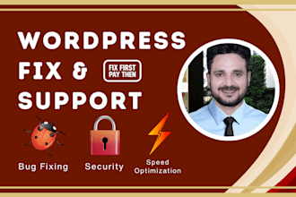 fix issues, improve responsiveness, and speed up your wordpress website