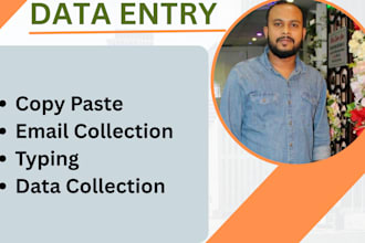 data entry, excel data entry, email collecting, copy paste