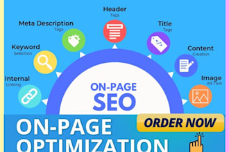 do website on page SEO optimization for wordpress, shopify