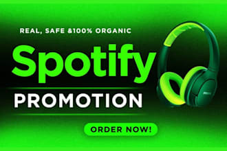 run professional spotify music promotion with spotify ads campaign
