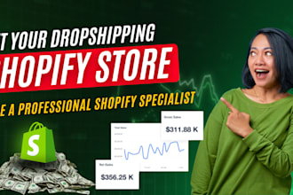 build shopify dropshipping store, shopify website design