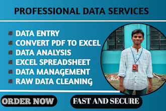convert PDF to excel , data analysis , data entry , raw data cleaning etc