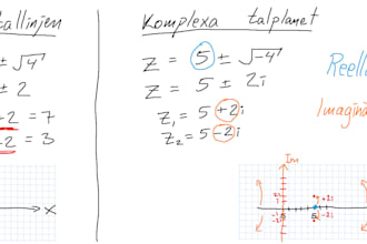 help with the mathematics aspects of your project