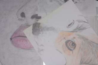 draw a pencil sketch