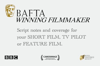 give you professional notes on your screenplay