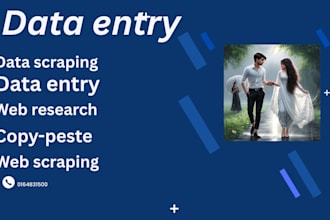 do data entry, copy peste, data scrapping, web scrapping