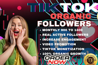 manage tiktok promotion, marketing, and booktok growth for real organic follower