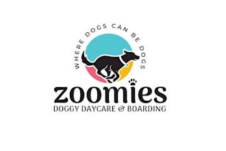 design vibrant playful doggy daycare boarding facility logo