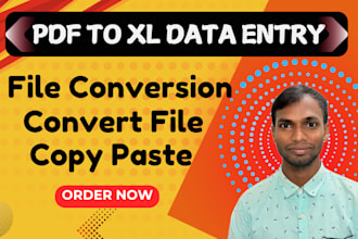 convert pdf to excel image to text data entry copy paste job handwriting typing