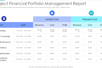 create a detailed portfolio income reports for tax or financial planning