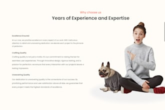 be full stack developer mern stack developer for web apps