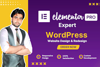 be your expert wordpress developer to build elementor pro websites