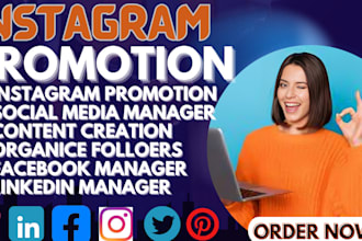 do instagram promotion fast organic growth to increase followers and engagement