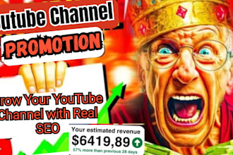 grow youtube channel with viral video SEO and targeted USA promotion