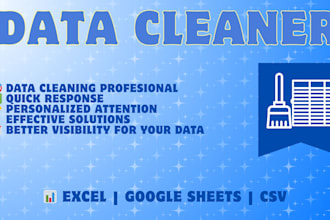 professional data cleaning y formatting service