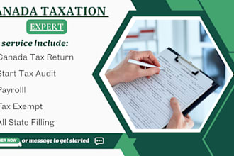 efile canada tax return business t2 and personal t1 CPA tax