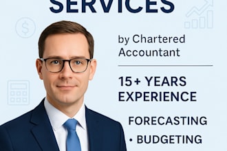 be your virtual cfo or finance advisor