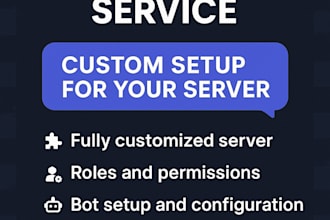 create a professional discord server with bots and role setup