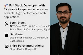 professional full stack developer aspnet core react vue angular