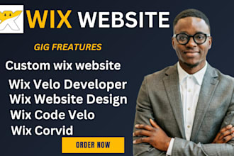 design, build, and redesign your wix website using wix velo, database, and API