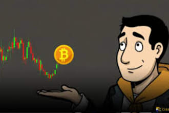 teach crypto trading  bull and bear markets precisely