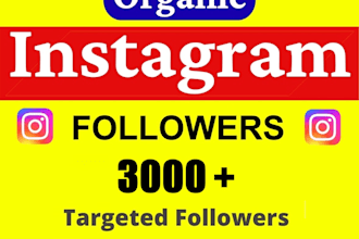 get 3000 organic instagram followers
