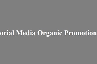 do custom order for your social media organic promotion project