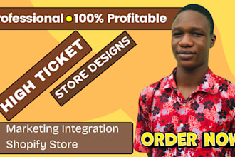 create high ticket dropshipping shopify store website