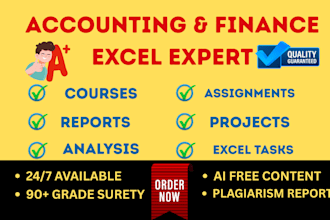 do accounting, finance assignment, excel report and financial statement analysis