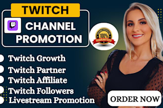 twitch channel promotion twitch partner twitch channel viewers twitch affiliate