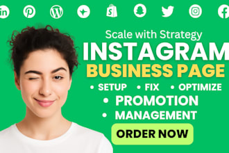setup, fix and optimize your instagram business page professionally