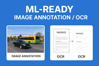 professionally annotate images, video, and text dataset