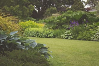write SEO gardening blog posts and articles