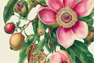 draw realistic botanical watercolor illustration for you