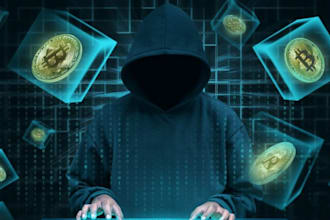 investigate cryptocurrency wallets and transactions