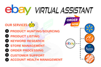 do ebay,amazone dropshipping expert