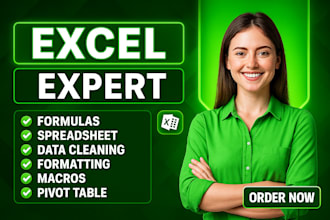 do excel formulas, data cleaning, macros and pivot tables