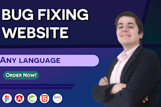 fix bugs in your website