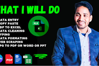 do excel data cleaning, formatting, merge, split and pdf to excel or word