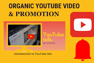 run organic youtube video promotion or ads adwords specialist to grow your views